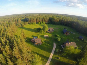 Purgaiļi
